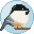 The Bird Feeder app icon: a chickadee on a round sky patch.